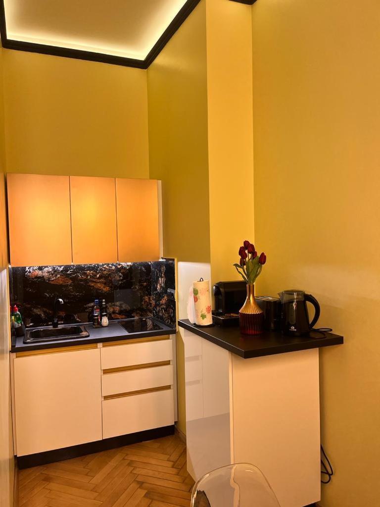 Urban Central Apartments Braşov Extérieur photo